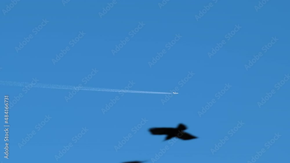 Distant passenger jet plane flying on high altitude on clear blue sky leaving white smoke trace of contrail behind. Air transportation concept Distant passenger jet plane flying on high altitude on clear blue sky leaving white smoke trace of contrail behind. Air transportation concept