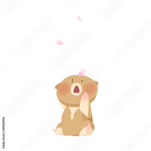 Illustration of cherry blossom petals and hamsters