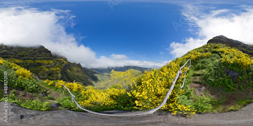 Flowering Madeira island photo