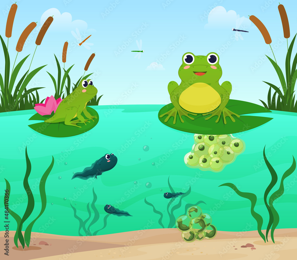 Cartoon frogs sitting on lily leaves at pond nature environment surrounded by reeds vector