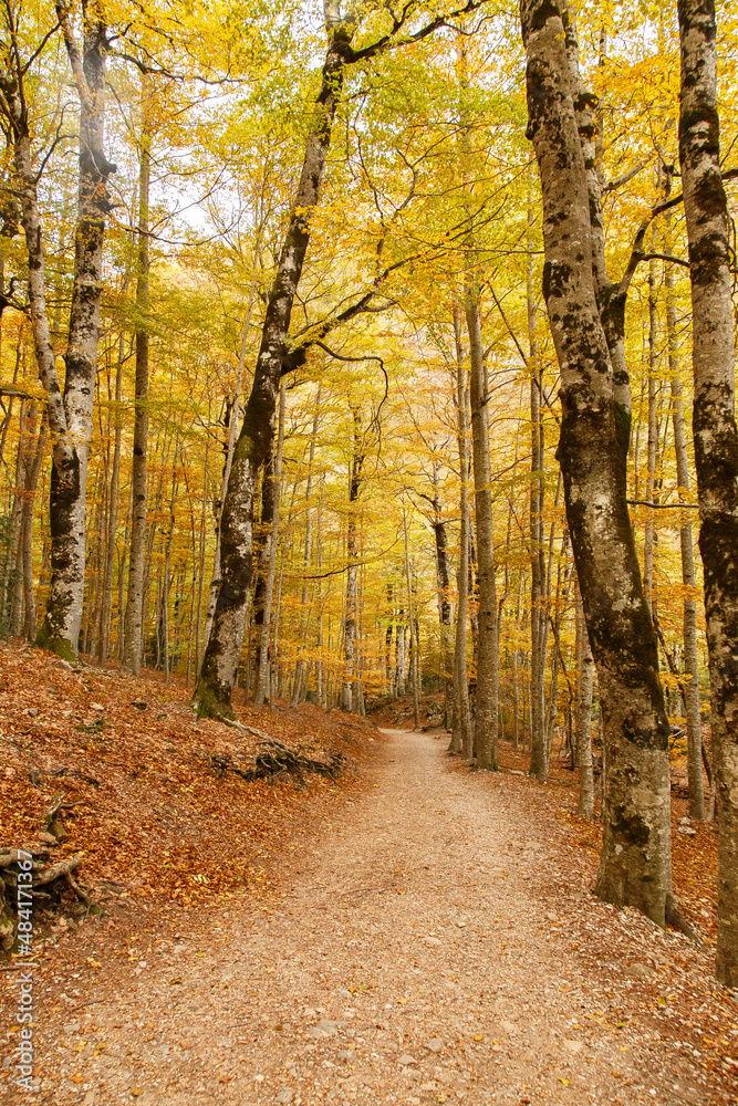 Obraz premium Pirineos Huesca