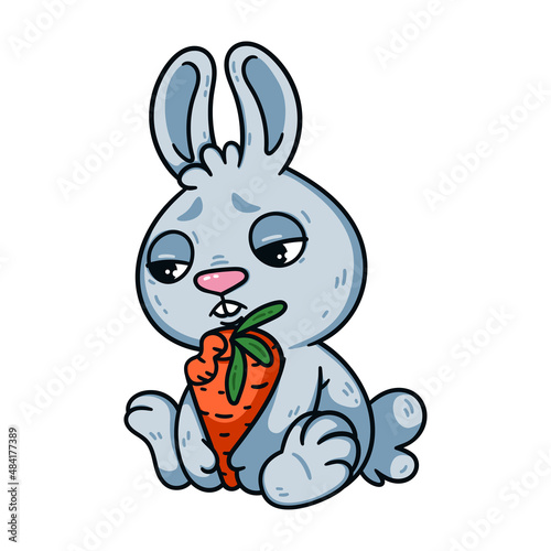 Sad little easter bunny with bitten carrot. Rabbit the symbol of 2023 lunar chinese new year. Hare with unhappy eyes and vegetable. Farm animal vector illustration isolated white background. (ID: 484177389)