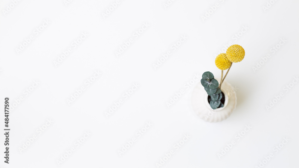 Vase of dry flowers on white background. top view, copy space Vase of dry flowers on white background. top view, copy space
