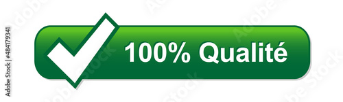 Bouton web vert vecteur 100% QUALITE