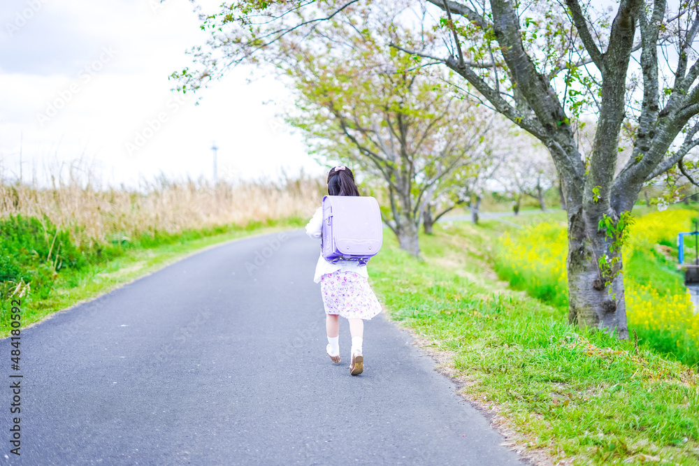 小学校に登校する小さな女の子 小学校に登校する小さな女の子