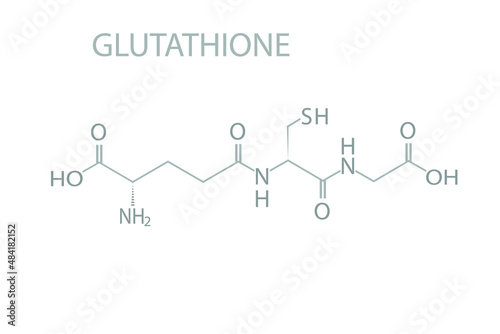 Glutathione molecular skeletal chemical formula.	
