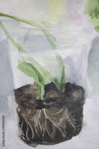 Young plant in transparent flower pot with chernozem. ESG watercolor painting. Nice eco-friendly illustration. Seedlings with roots. Development and increasing concept.
