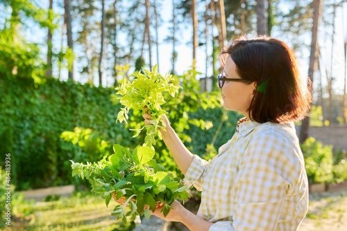 Woman holding branch of fresh thyme in her hands, outdoor in the garden.