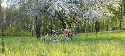bicycle with a wicker basket under a blossoming fruit tree in the park. spring picnic for relaxation