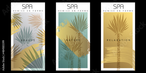 Série de 3 flyers pour un établissement de spa avec un graphisme végétal (un yucca) et abstrait aux couleurs douces, grise, verte et or. photo