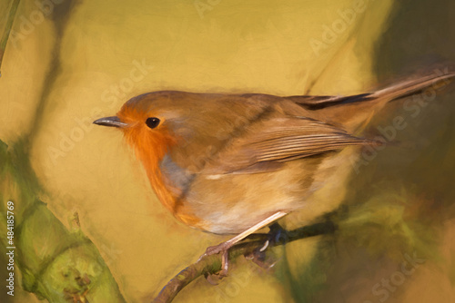 Digital painting of a European Robin, Erithacus rubecula in a natural woodland habitat. photo