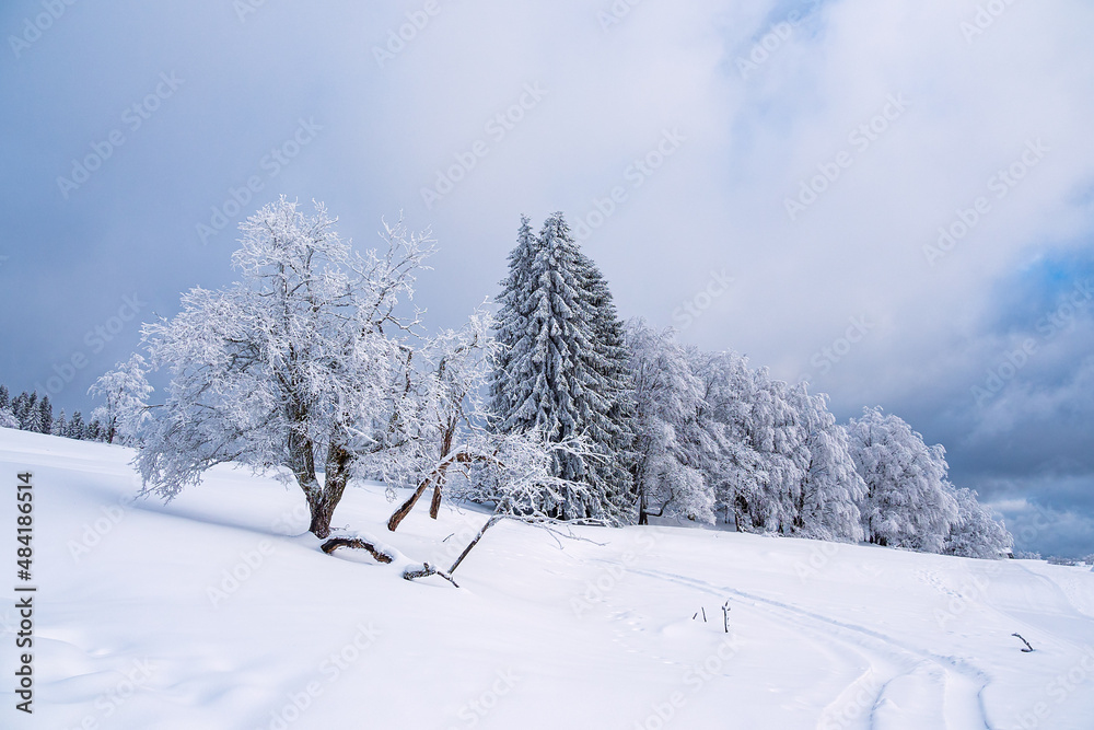 Landschaft im Winter im Thüringer Wald in der Nähe von Schmiedefeld am Rennsteig