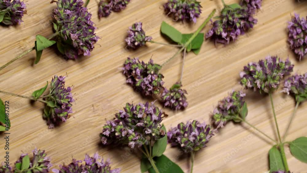 Origanum flowers on a wooden table, rotation background. Loop motion Origanum flowers on a wooden table, rotation background. Loop motion