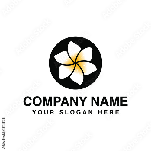 Fototapeta Naklejka Na Ścianę i Meble -  white frangipani flower logo