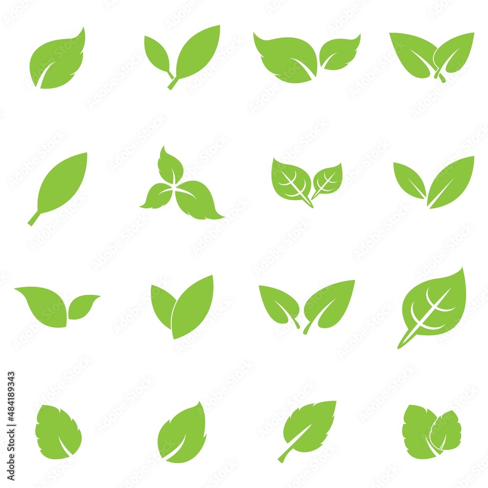 leaf logo icon vector design template