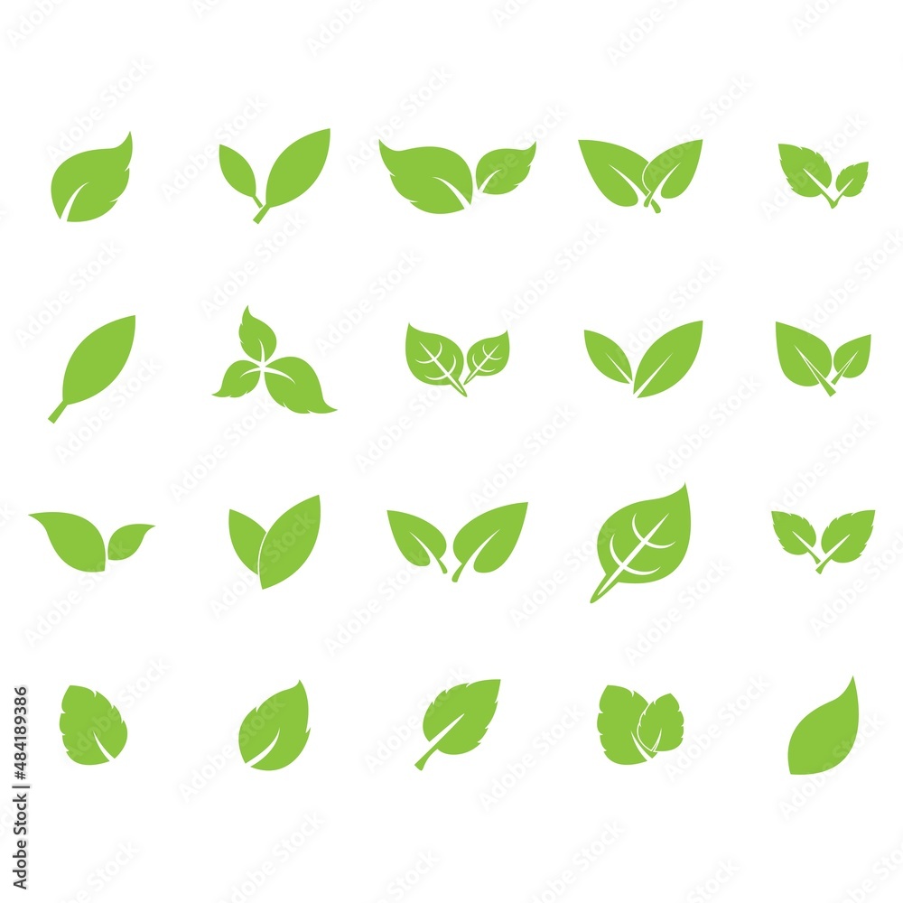 leaf logo icon vector design template