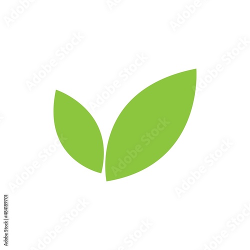 Fototapeta Naklejka Na Ścianę i Meble -  leaf logo icon vector design template