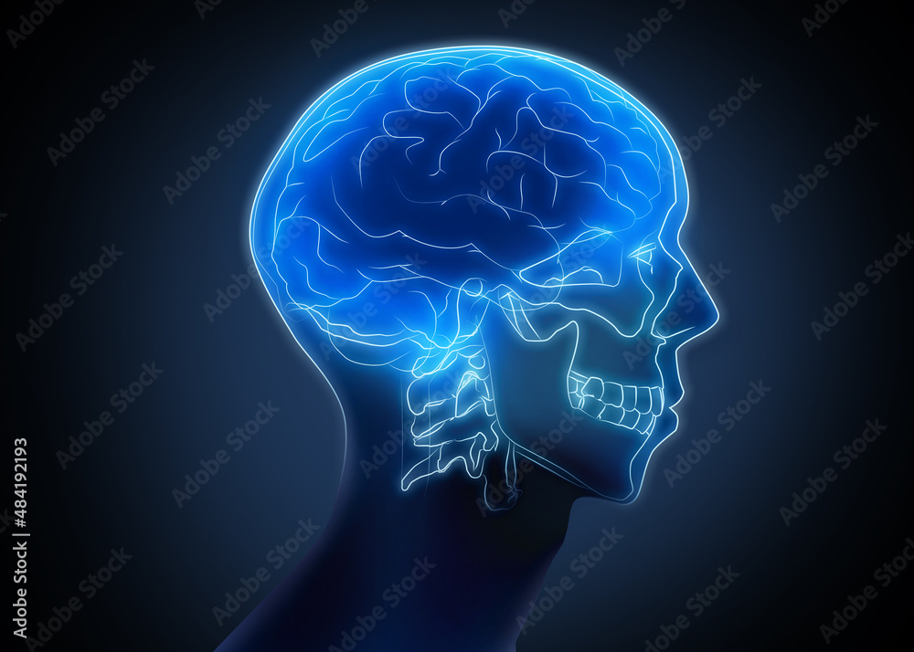 Scan of human brain on dark background, illustration