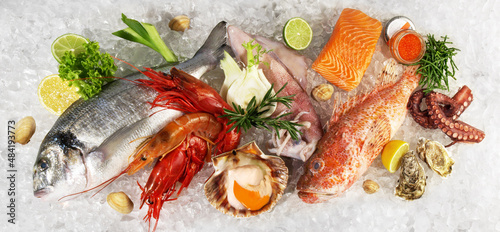 Fisch und Meeresfrüchte auf Eis mit Seegras, Kaviar, Muscheln, Austern und Gemüse isoliert auf weißem Hintergrund - Panorama