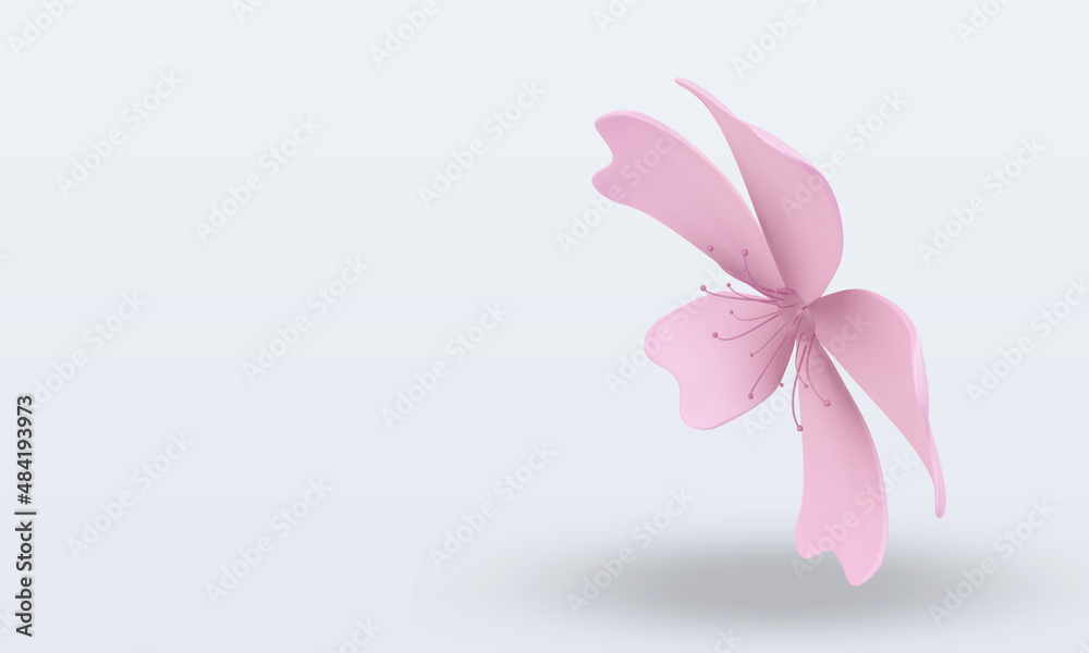 3d chinese new year Sakura icon rendering right view 3d chinese new year Sakura icon rendering right view