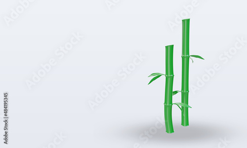3d chinese new year Bamboo icon rendering right view