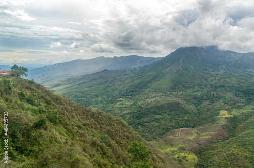 La jungle et forêt avec ses ponts sauvages de la vallée cocora dans le quindio en colombie