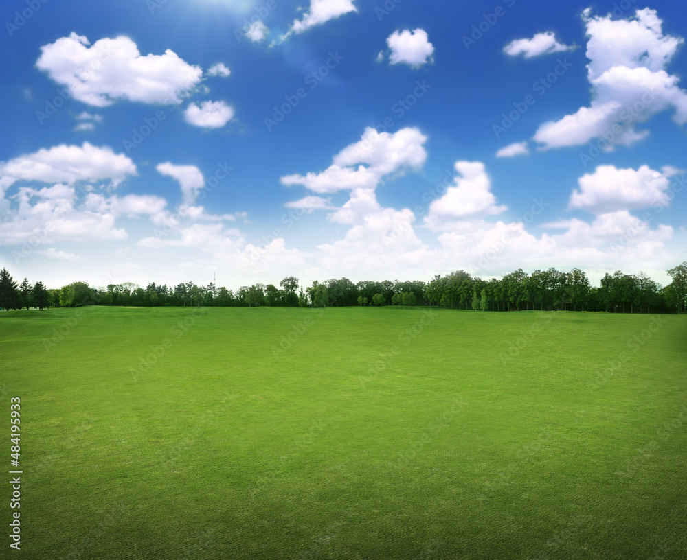 Beautiful view of park with green grass on sunny day Beautiful view of park with green grass on sunny day