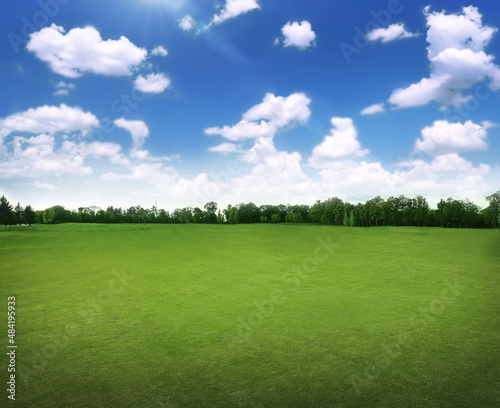 Fototapeta Naklejka Na Ścianę i Meble -  Beautiful view of park with green grass on sunny day