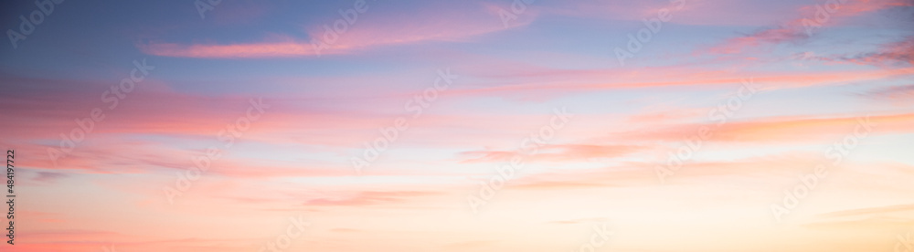 banner of pink sunset sky background