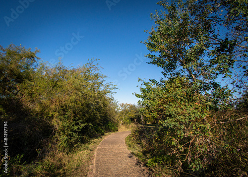 A start to an adventure! Anahuac National Wildlife Refuge!