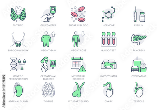 Endocrinology line icons. Vector illustration include icon - thyroid gland, insulin, syringe, adrenal, glucometer, hypodynamia outline pictogram for diabetes. Green and Red Color, Editable Stroke