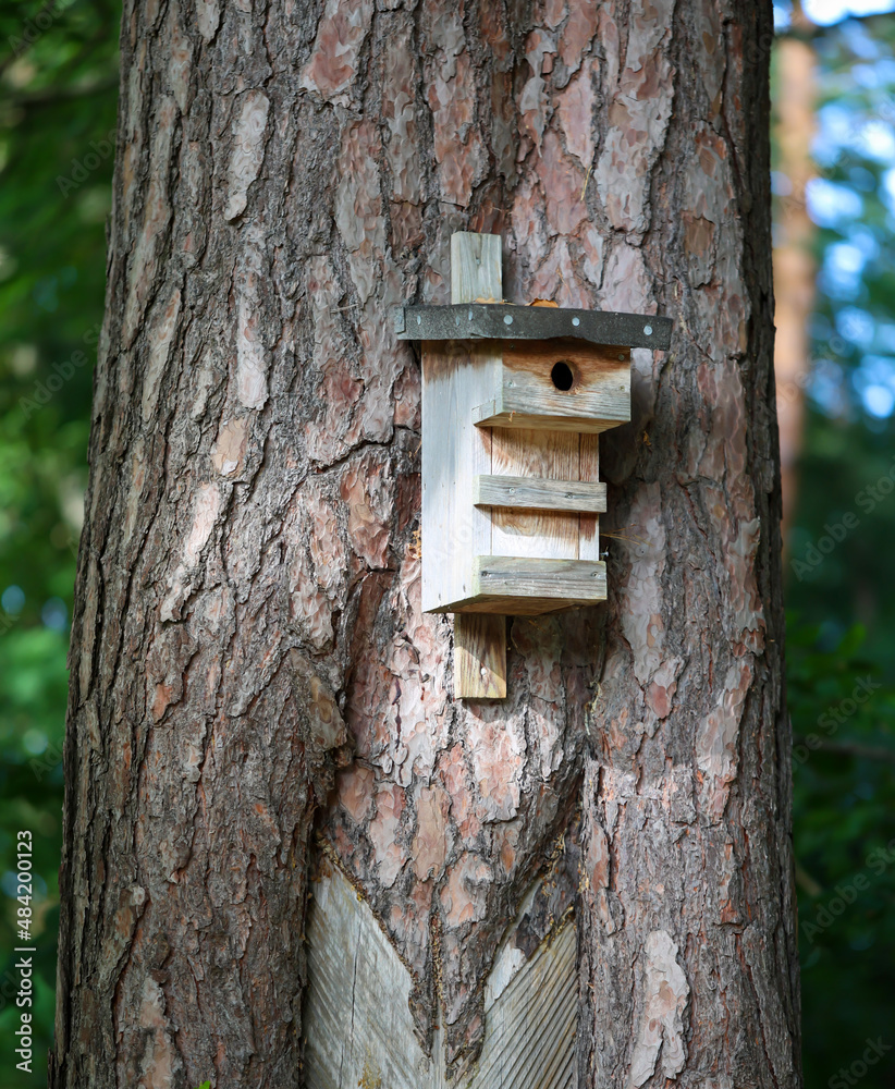 Ein aus Holzresten gebauter Nistkasten für die Vögel aus Bruthilfe.
Ein aus Holzresten gebauter Nistkasten für die Vögel aus Bruthilfe.