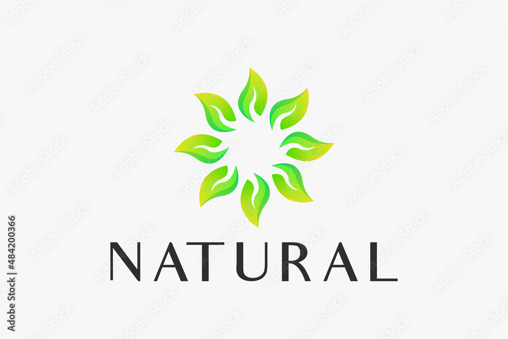 Fototapeta premium Natural Leaf Simple Concept for Business Beauty, Salon, and Spa.