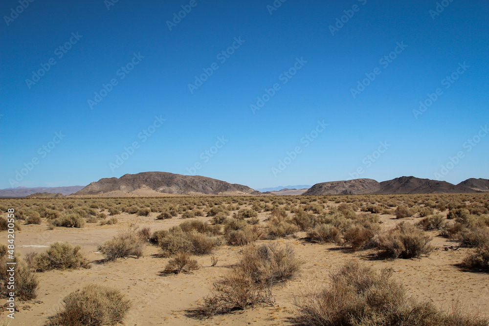 Blick in die Wüste in Nevada. Viel Sand, Berge und wenig Vegetation. Ein wunderschöner Ort.
Blick in die Wüste in Nevada. Viel Sand, Berge und wenig Vegetation. Ein wunderschöner Ort.