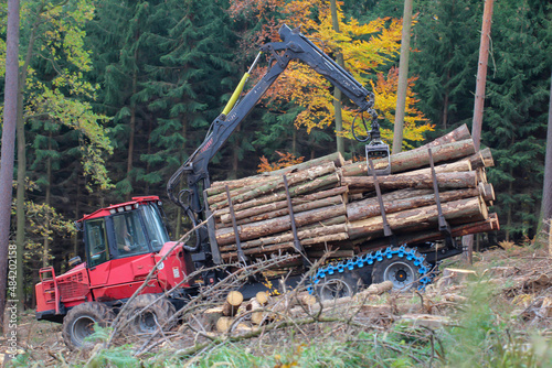 Ein Waldarbeiter holt mit einem Spezialfahrzeug gef  llte Baumst  mme aus dem Wald.