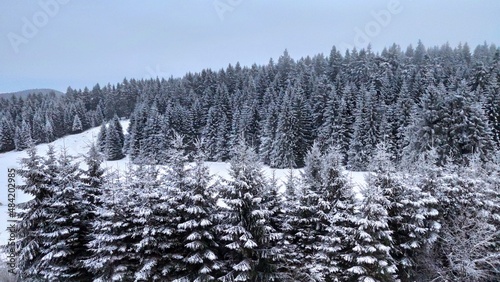 Schnee im Winter Winter in Winterberg