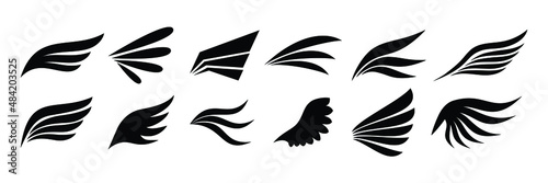 set one sided wings icon in vector graphic. Modern and minimalist elements isolated for logo, tattoo, symbol, and any ornament design.
