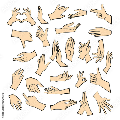 Set of miscellaneous women hands gestures simple colour. Vector Illustration of female hands for create logos, prints and other designs on white background