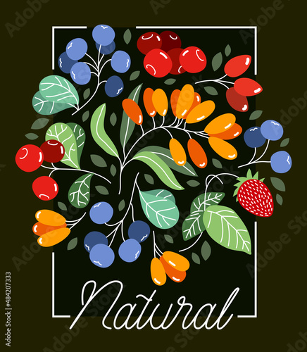 Wild berries fresh and ripe tasty healthy food vector flat style illustration over dark background, delicious vegetation diet eating, organic food.