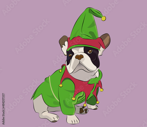perro con disfraz de navidad