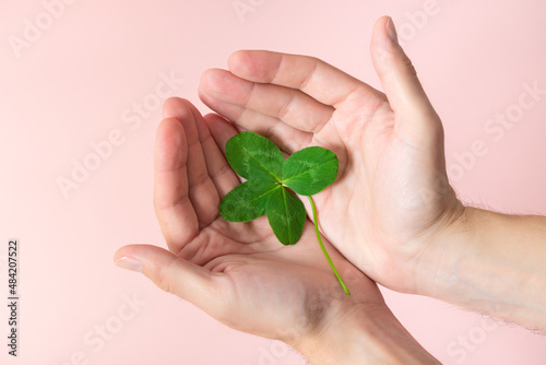 Happy St. Patrick's Day. Hands holding a shamrock on pink background. Good for luck or St. Patrick's day. A four leaf clover, symbol of fortune, happiness and success. Make a wish. Close up