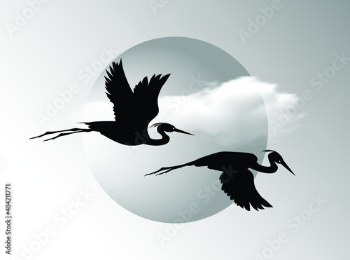 A silhouettes of two flying herons against the backdrop of a sun circle and clouds in the sky. vector drawing.