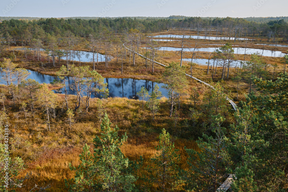 Beautiful natural landscape in Lahemaa National Park in Estonia. Viru Raba swamp in autumn. Travel and exploration. Tourism and travel concept image, fresh and relaxing image of nature Beautiful natural landscape in Lahemaa National Park in Estonia. Viru Raba swamp in autumn. Travel and exploration. Tourism and travel concept image, fresh and relaxing image of nature