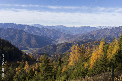 Alpine mountains panoramic view to valley and forest on autumn sunny day © Olga Begak Art