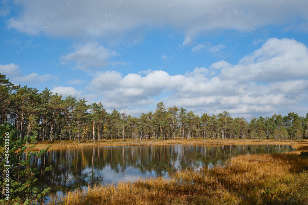 Beautiful natural landscape in Lahemaa National Park in Estonia. Viru Raba swamp in autumn. Travel and exploration. Tourism and travel concept image, fresh and relaxing image of nature
