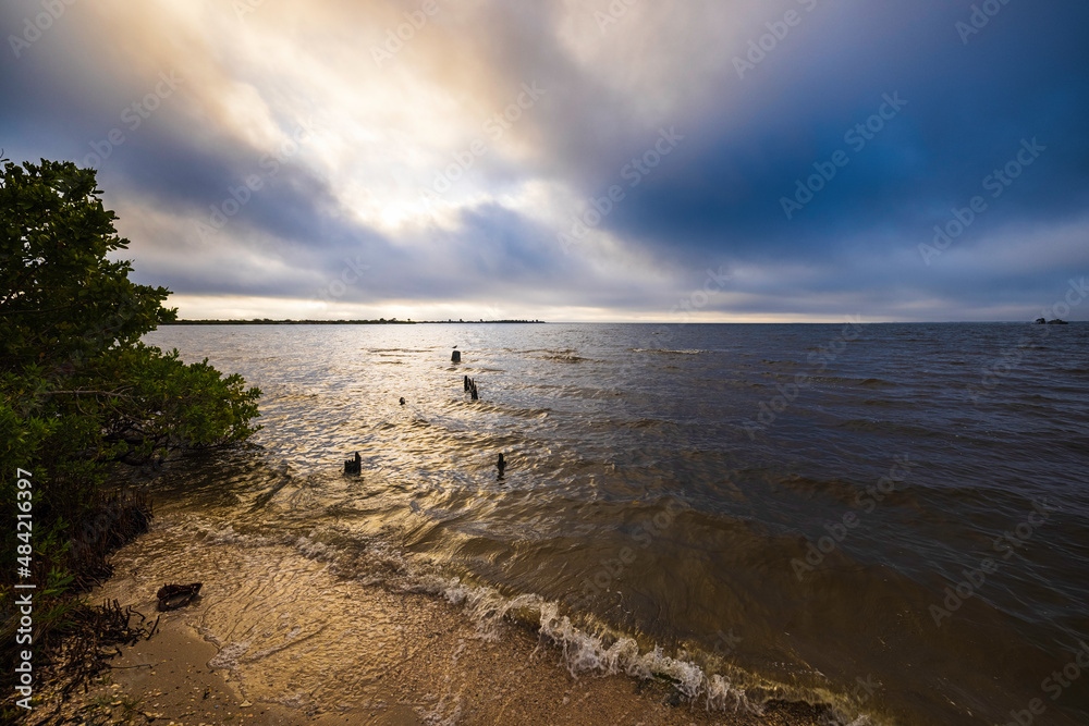 Obraz premium Morning near Merritt Island National Wildlife Refuge, Titusville, Florida.