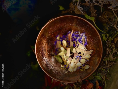 Herbalism
