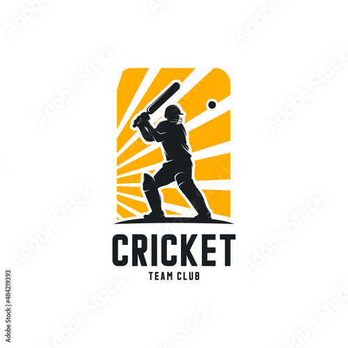 Cricket player silhouette logo design vector