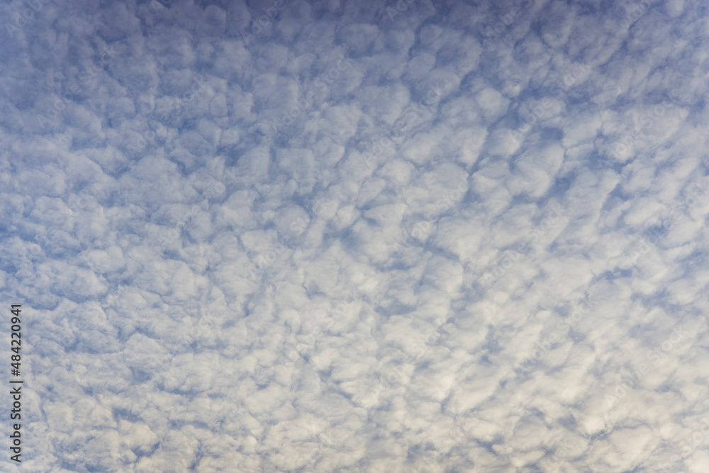 Obraz premium abstract bacground of whte clould sky, Nature sky backgrounds.