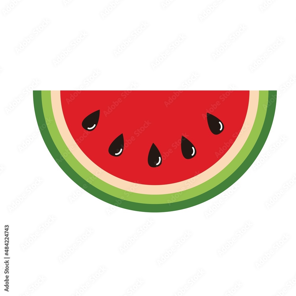 sliced water melon fruit vector design